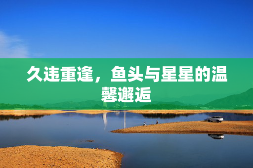 久违重逢，鱼头与星星的温馨邂逅