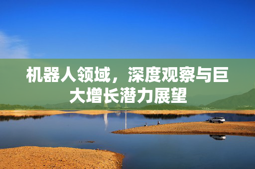 机器人领域，深度观察与巨大增长潜力展望