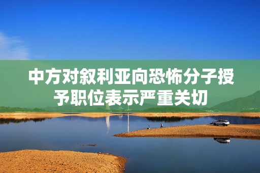 中方对叙利亚向恐怖分子授予职位表示严重关切
