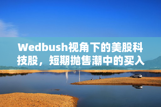 Wedbush视角下的美股科技股，短期抛售潮中的买入机遇