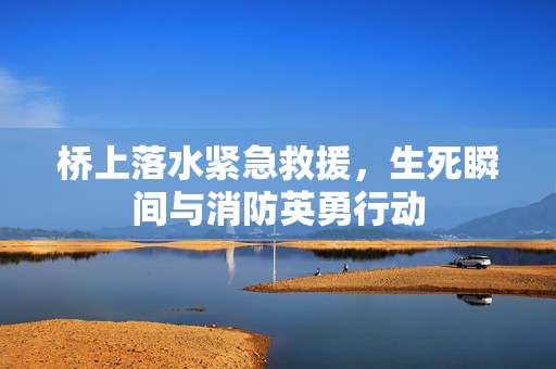 桥上落水紧急救援，生死瞬间与消防英勇行动