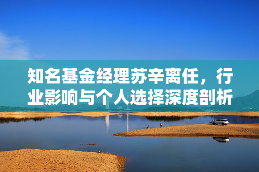 知名基金经理苏辛离任，行业影响与个人选择深度剖析