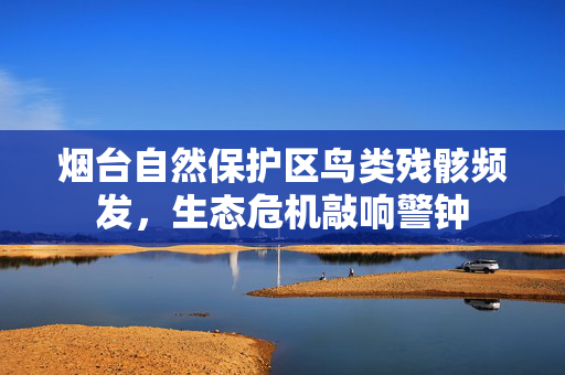 烟台自然保护区鸟类残骸频发，生态危机敲响警钟