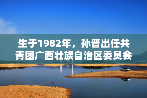 生于1982年，孙晋出任共青团广西壮族自治区委员会书记