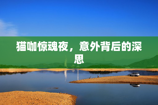 猫咖惊魂夜，意外背后的深思