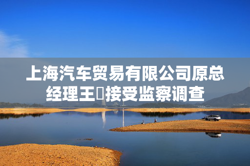 上海汽车贸易有限公司原总经理王璟接受监察调查