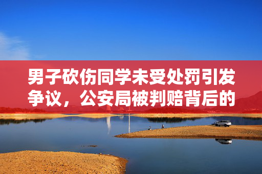 男子砍伤同学未受处罚引发争议，公安局被判赔背后的法律公正与责任追究问题深度解析