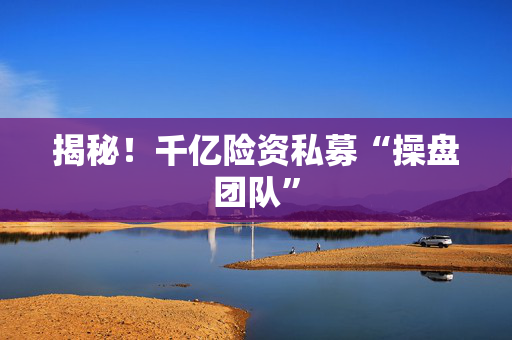 揭秘！千亿险资私募“操盘团队”