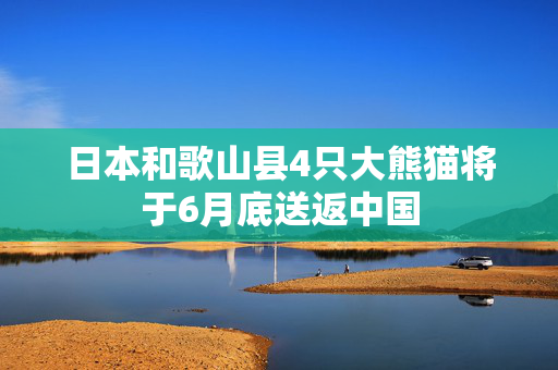 日本和歌山县4只大熊猫将于6月底送返中国