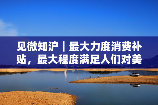 见微知沪｜最大力度消费补贴，最大程度满足人们对美好生活的向往