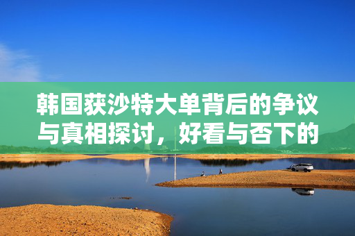韩国获沙特大单背后的争议与真相探讨，好看与否下的实质问题探究