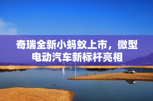 奇瑞全新小蚂蚁上市，微型电动汽车新标杆亮相
