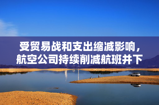 受贸易战和支出缩减影响，航空公司持续削减航班并下调盈利预期