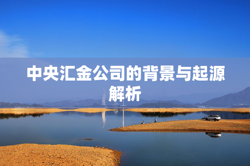 中央汇金公司的背景与起源解析