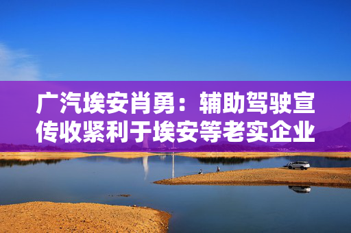 广汽埃安肖勇：辅助驾驶宣传收紧利于埃安等老实企业