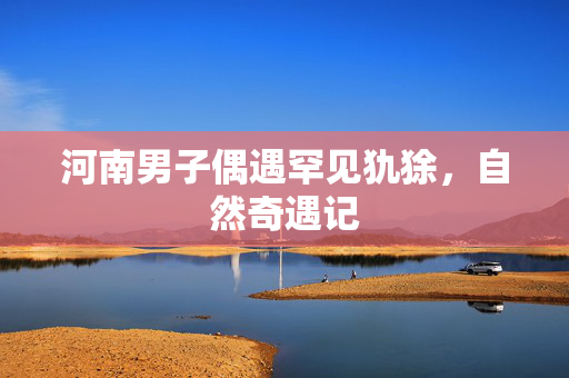 河南男子偶遇罕见犰狳，自然奇遇记