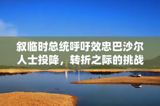 叙临时总统呼吁效忠巴沙尔人士投降，转折之际的挑战与未来展望