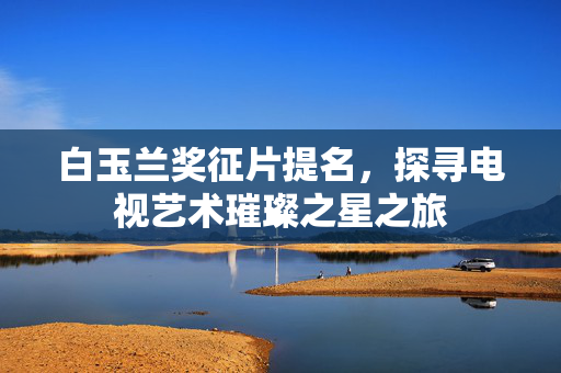 白玉兰奖征片提名，探寻电视艺术璀璨之星之旅