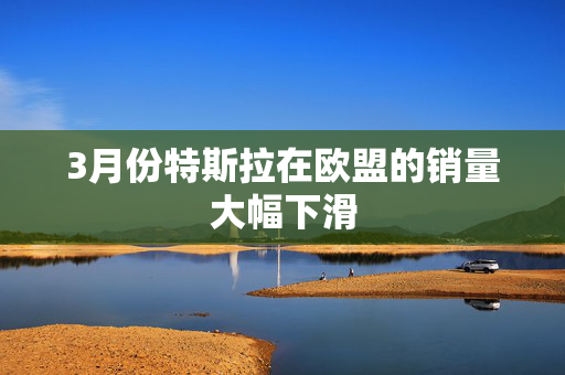 3月份特斯拉在欧盟的销量大幅下滑