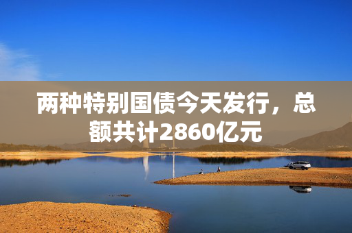 两种特别国债今天发行，总额共计2860亿元