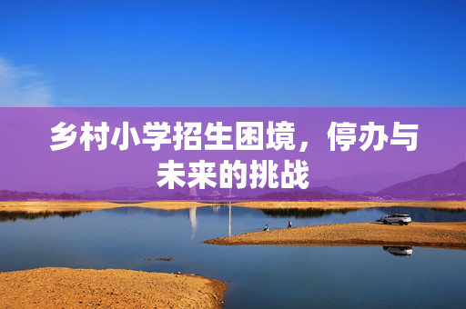 乡村小学招生困境，停办与未来的挑战