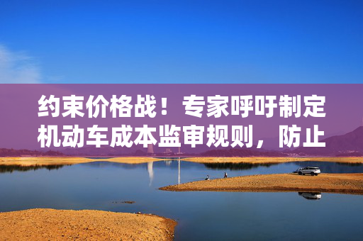 约束价格战！专家呼吁制定机动车成本监审规则，防止低价倾销