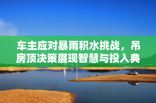 车主应对暴雨积水挑战，吊房顶决策展现智慧与投入典范
