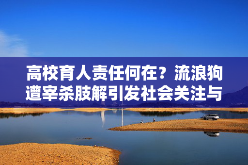 高校育人责任何在？流浪狗遭宰杀肢解引发社会关注与反思