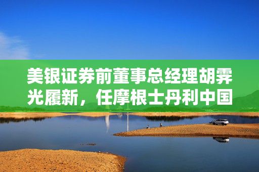 美银证券前董事总经理胡霁光履新，任摩根士丹利中国区副主席