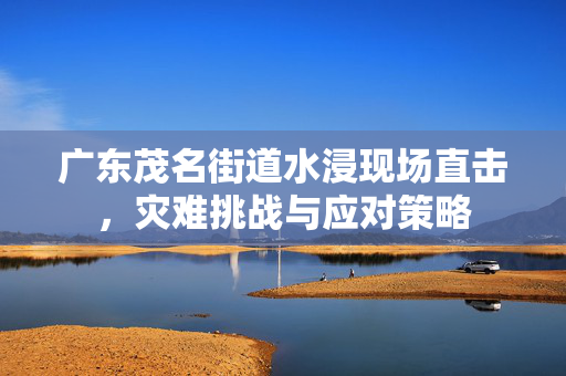 广东茂名街道水浸现场直击，灾难挑战与应对策略