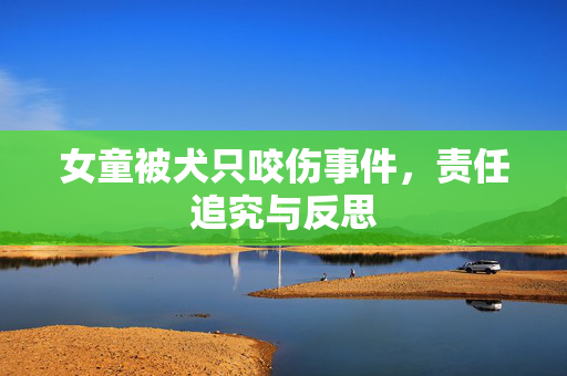 女童被犬只咬伤事件，责任追究与反思