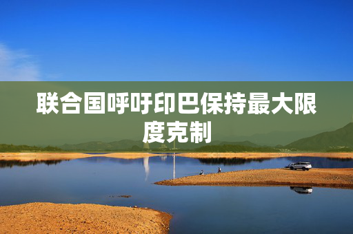 联合国呼吁印巴保持最大限度克制