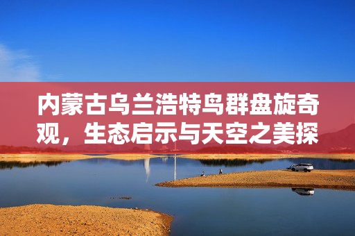 内蒙古乌兰浩特鸟群盘旋奇观，生态启示与天空之美探索