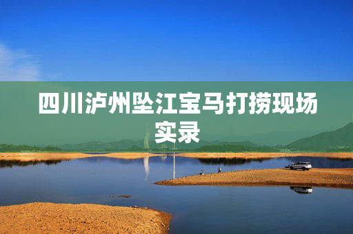 四川泸州坠江宝马打捞现场实录