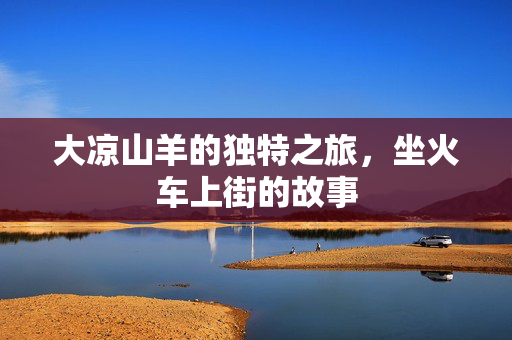 大凉山羊的独特之旅，坐火车上街的故事