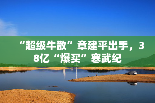 “超级牛散”章建平出手，38亿“爆买”寒武纪
