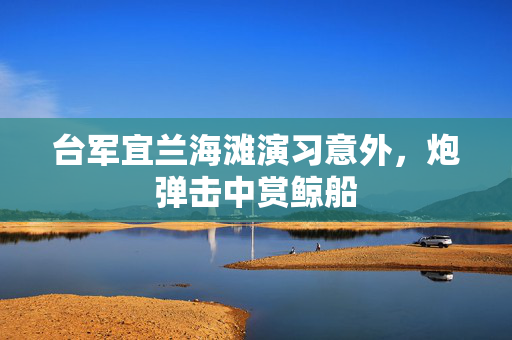 台军宜兰海滩演习意外，炮弹击中赏鲸船