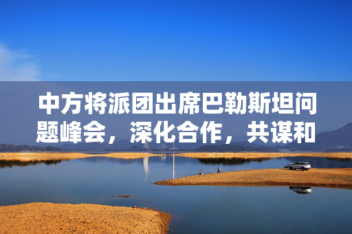 中方将派团出席巴勒斯坦问题峰会，深化合作，共谋和平解决之道