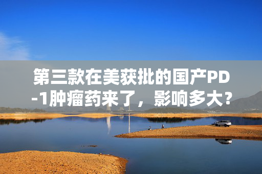 第三款在美获批的国产PD-1肿瘤药来了，影响多大？