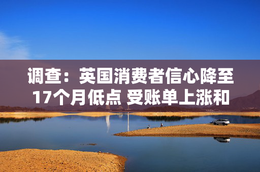 调查：英国消费者信心降至17个月低点 受账单上涨和贸易战打压