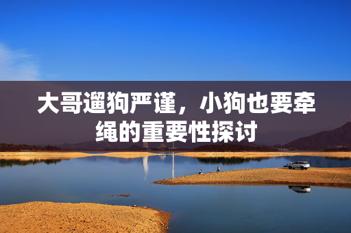 大哥遛狗严谨，小狗也要牵绳的重要性探讨