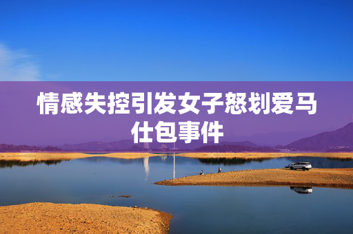 情感失控引发女子怒划爱马仕包事件