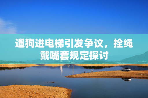 遛狗进电梯引发争议，拴绳戴嘴套规定探讨
