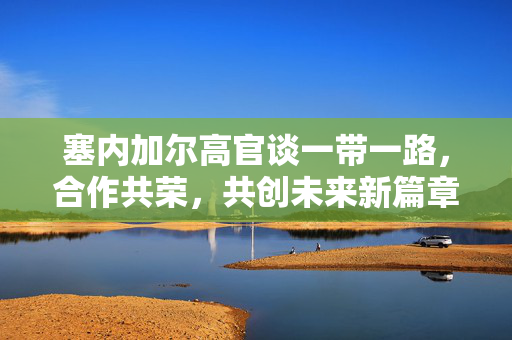 塞内加尔高官谈一带一路，合作共荣，共创未来新篇章