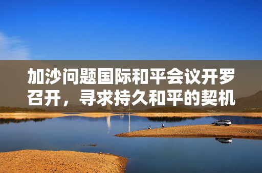 加沙问题国际和平会议开罗召开，寻求持久和平的契机与挑战探讨