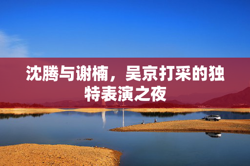 沈腾与谢楠，吴京打采的独特表演之夜