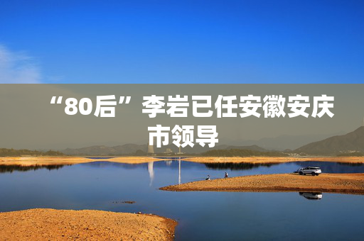 “80后”李岩已任安徽安庆市领导
