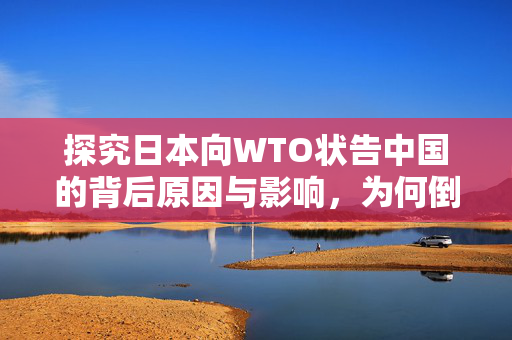探究日本向WTO状告中国的背后原因与影响，为何倒打一耙？