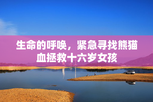 生命的呼唤，紧急寻找熊猫血拯救十六岁女孩