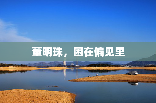 董明珠，困在偏见里